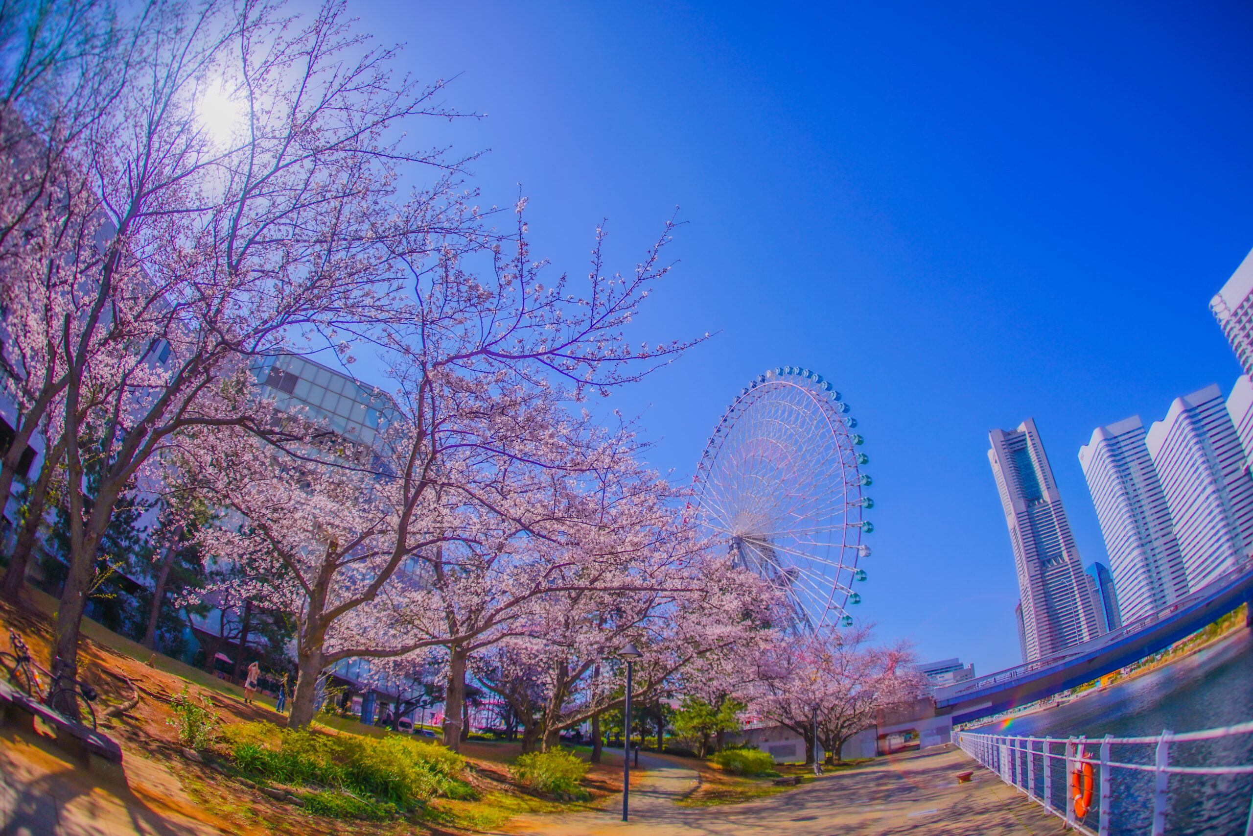 横浜観光
